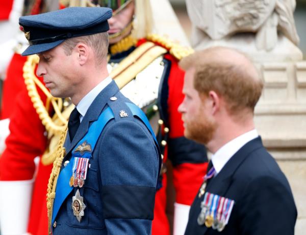 According to the expert, Harry and William are not on speaking terms and still have 