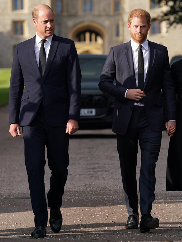 Prince William and Prince Harry, dressed in suits, walking together to greet public outside Windsor Castle, England.