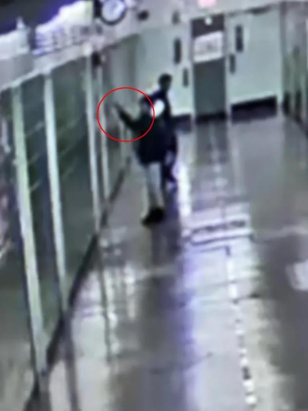 Origins High School student in Sheepshead Bay who painted a Hitler mustache on his face and went door to door giving the Nazi Salute