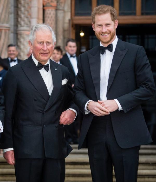 Prince Charles and Prince Harry, dressed in suits and smiling, at the 'Our Planet' global premiere in London