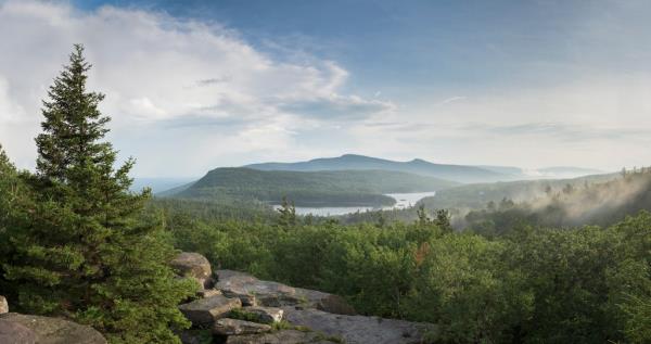 Rocks co<em></em>ntaining fossils dating back 385 million years were found in the scenic mountain region.