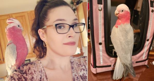 Jess Adlard and her cockatoo Charlie