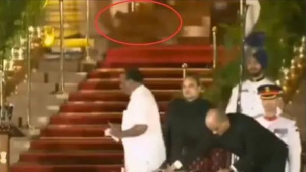 Mysterious animal, seemingly a leopard, gatecrashes Durga Das Uikey's oath-taking ceremony at Rashtrapati Bhavan on 9 June. Photo: Screengrab