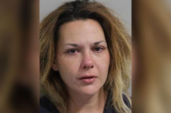 Mott was charged with grand theft, felony petit theft and two counts of burglary of a dwelling.