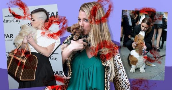 Celebs love a pet PDA