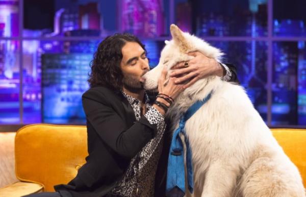 Editorial use o<em></em>nly Mandatory Credit: Photo by Brian J Ritchie/Hot Sauce/REX/Shutterstock (3511628ad) Russell Brand with Jemima Khan's dog Brian 'The Jo<em></em>nathan Ross Show' TV Programme, london, Britain. - 16 Jan 2014