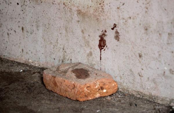 Blood stains are seen in the house wher<em></em>e allegedly five young men were murdered in Lagos de Moreno, Jalisco State, Mexico, on Thursday.