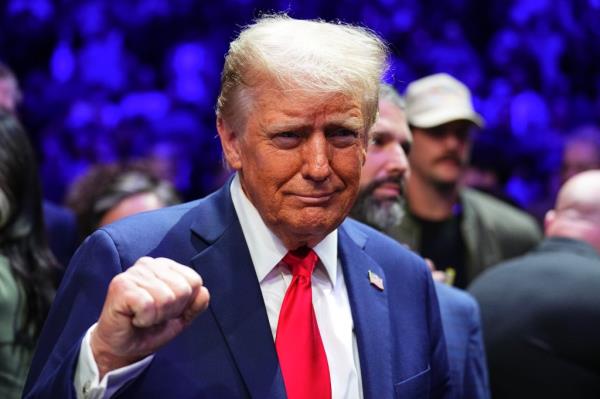 President-elect Do<em></em>nald Trump's incoming administration is weighing giving local sheriffs more powers to help boot illegal migrants from the US.