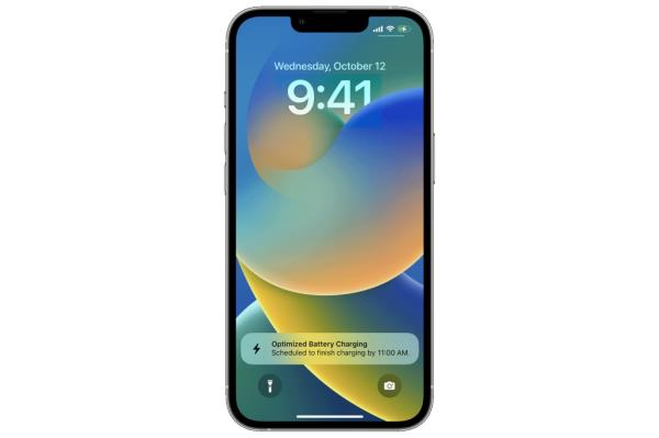 Optimized Battery Charging.