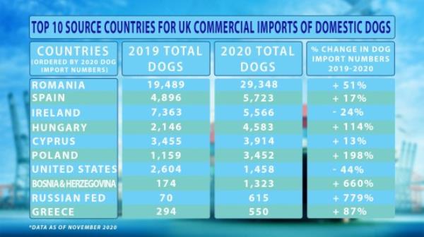 Dog im<em></em>ports soared during 2020