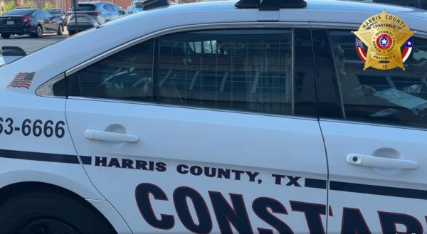 Harris County Co<em></em>nstable car with Lakesha Woods Williams in the backseat