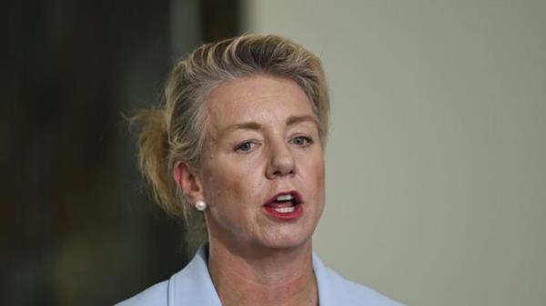 Senator Bridget McKenzie <em></em> presser