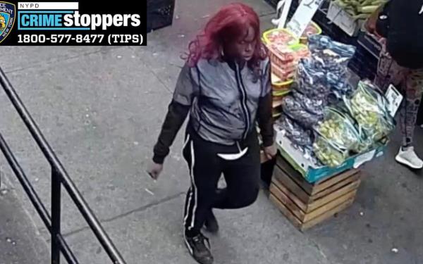 The boy was paying for fruit at Richard’s Fruit and Vegetable on Jerome Avenue near Marcy Place in Mount Eden around 11:40 a.m. Sept. 24 when the thief ripped the bills out of his hand, police said. 