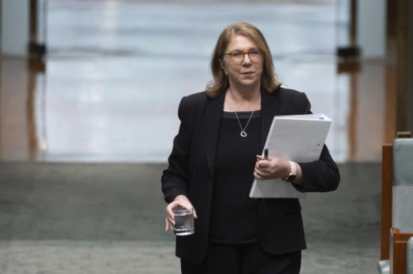 Transport Minister Catherine King has been under pressure to bailout Rex. 