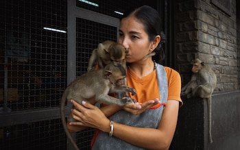 Supaporn Tantiwon kisses one of two long tailed macaques who have clambered o<em></em>nto her shoulders outside the spare car parts store