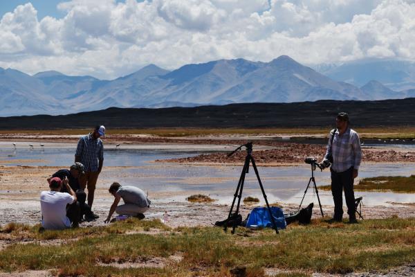 researchers gathering samples