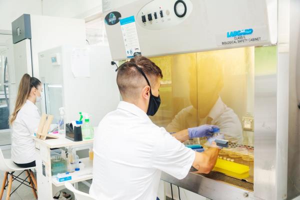 researchers analyzing microbes