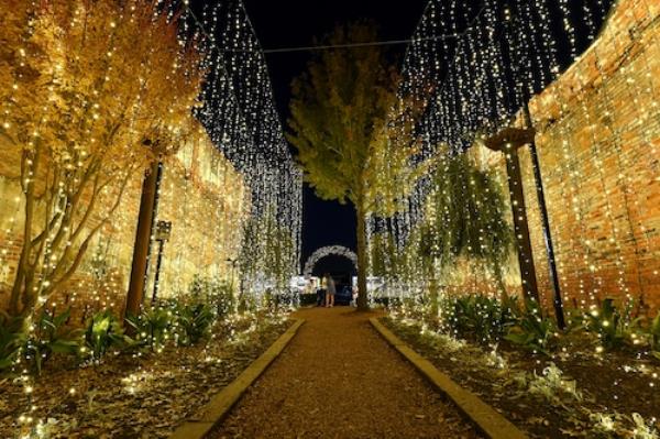 Christmas Lights 2020