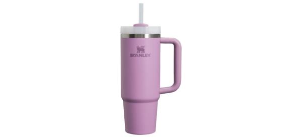 Lilac on white background