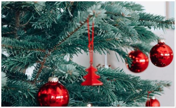 US Woman Arrested For Beating Boyfriend With Christmas Tree During Argument