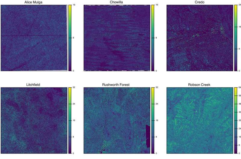 No evidence for fractal scaling in canopy surfaces across a diverse range of forest types