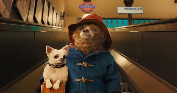 paddington in Lo<em></em>ndon holding dog 
